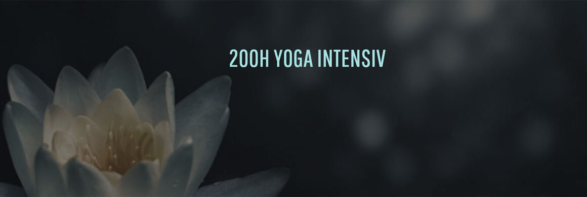 Webdesign Yogastudio von allegriadesign in München. Foto Zoltan Tasi by unsplash.com